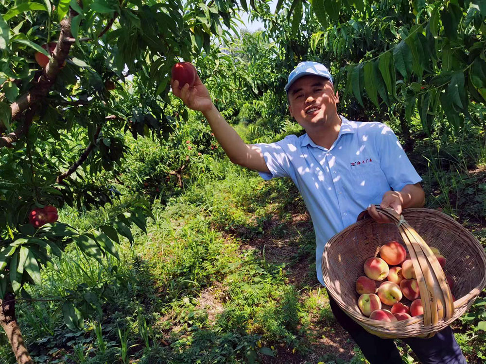 點(diǎn)擊打開原圖