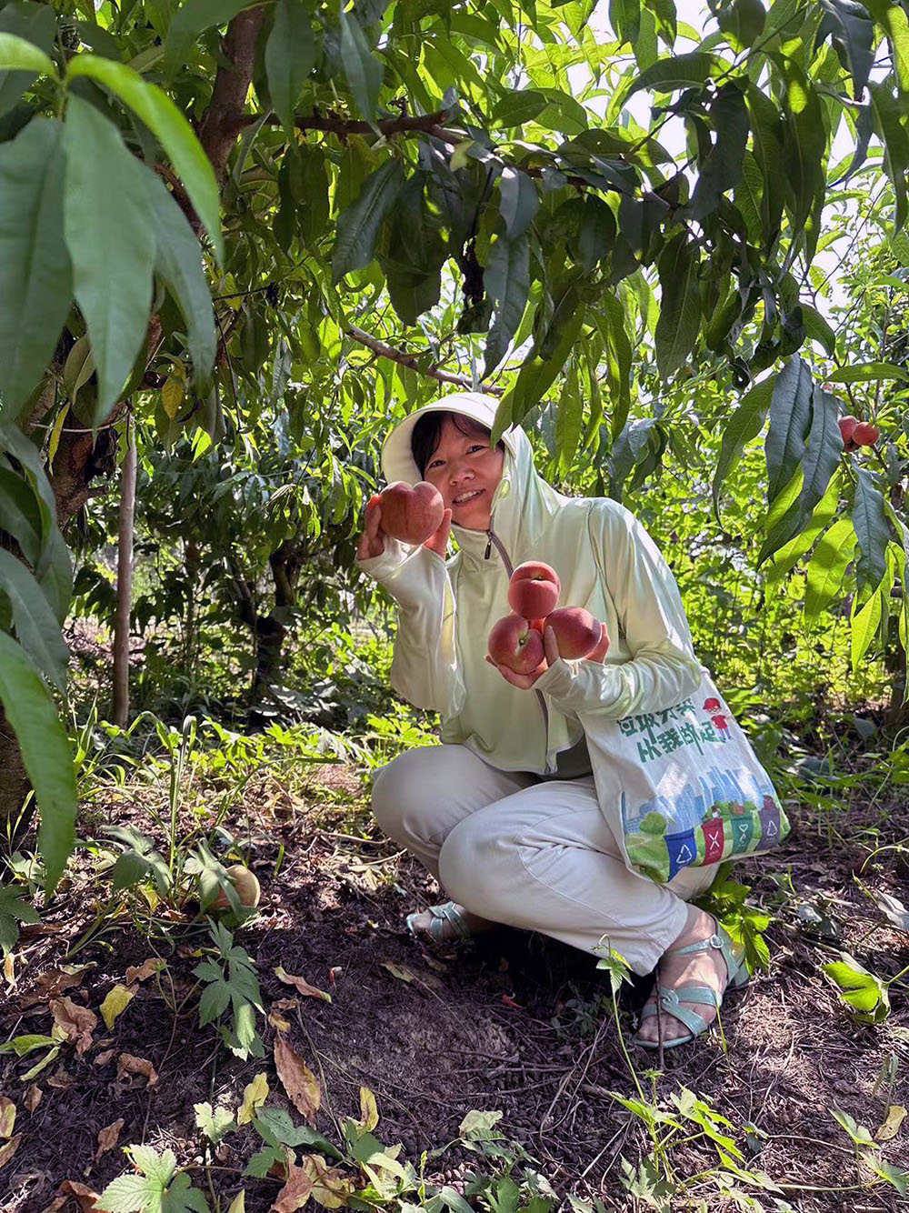 點(diǎn)擊打開原圖