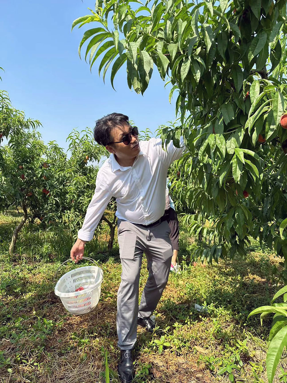 點(diǎn)擊打開原圖